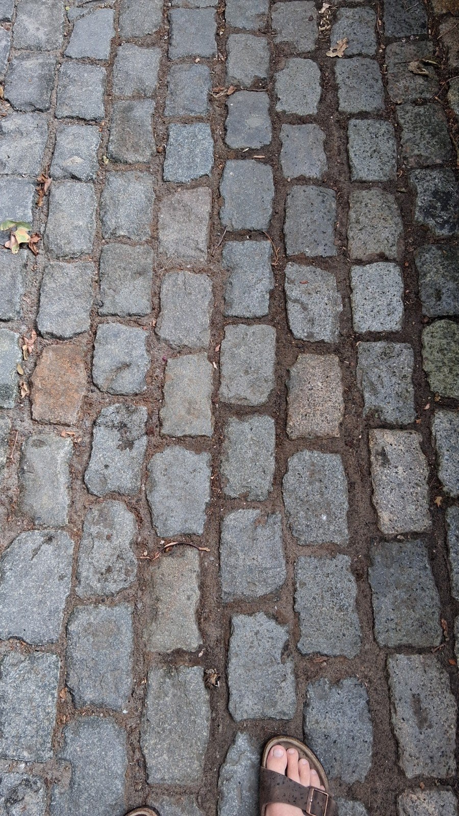 Kasseien, Jardin & Terrasse, Pavé & Dalles, Enlèvement