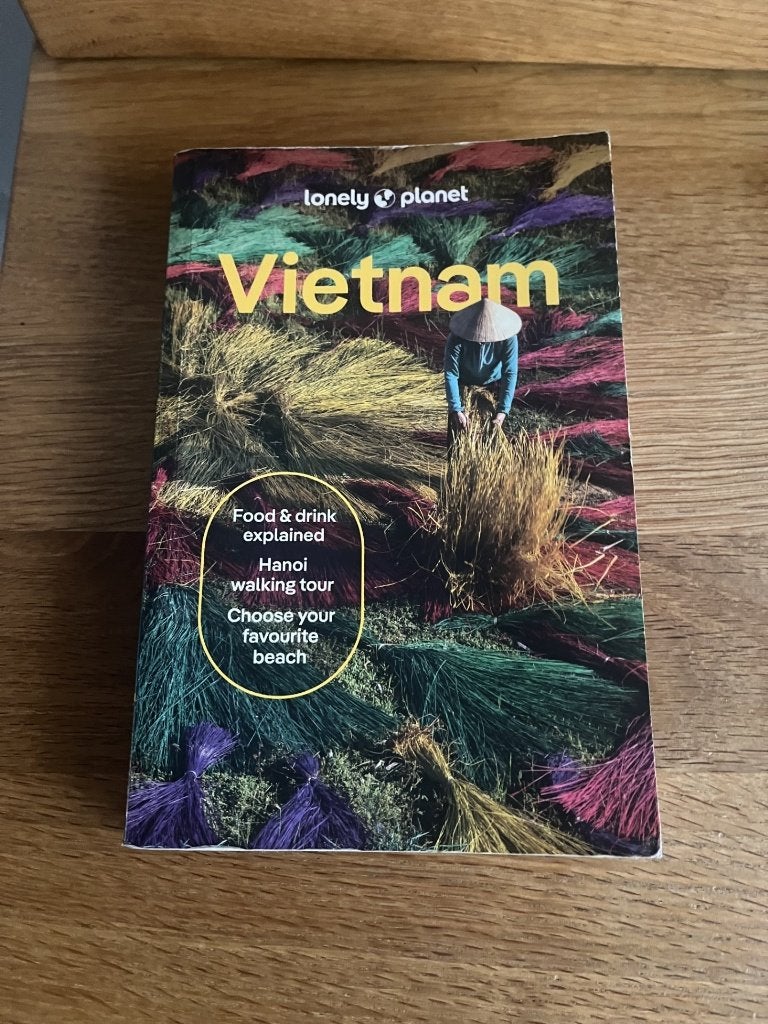 Lonely Planet Vietnam, Livres, Guide ou Livre de voyage, Lonely Planet, Comme neuf, Enlèvement