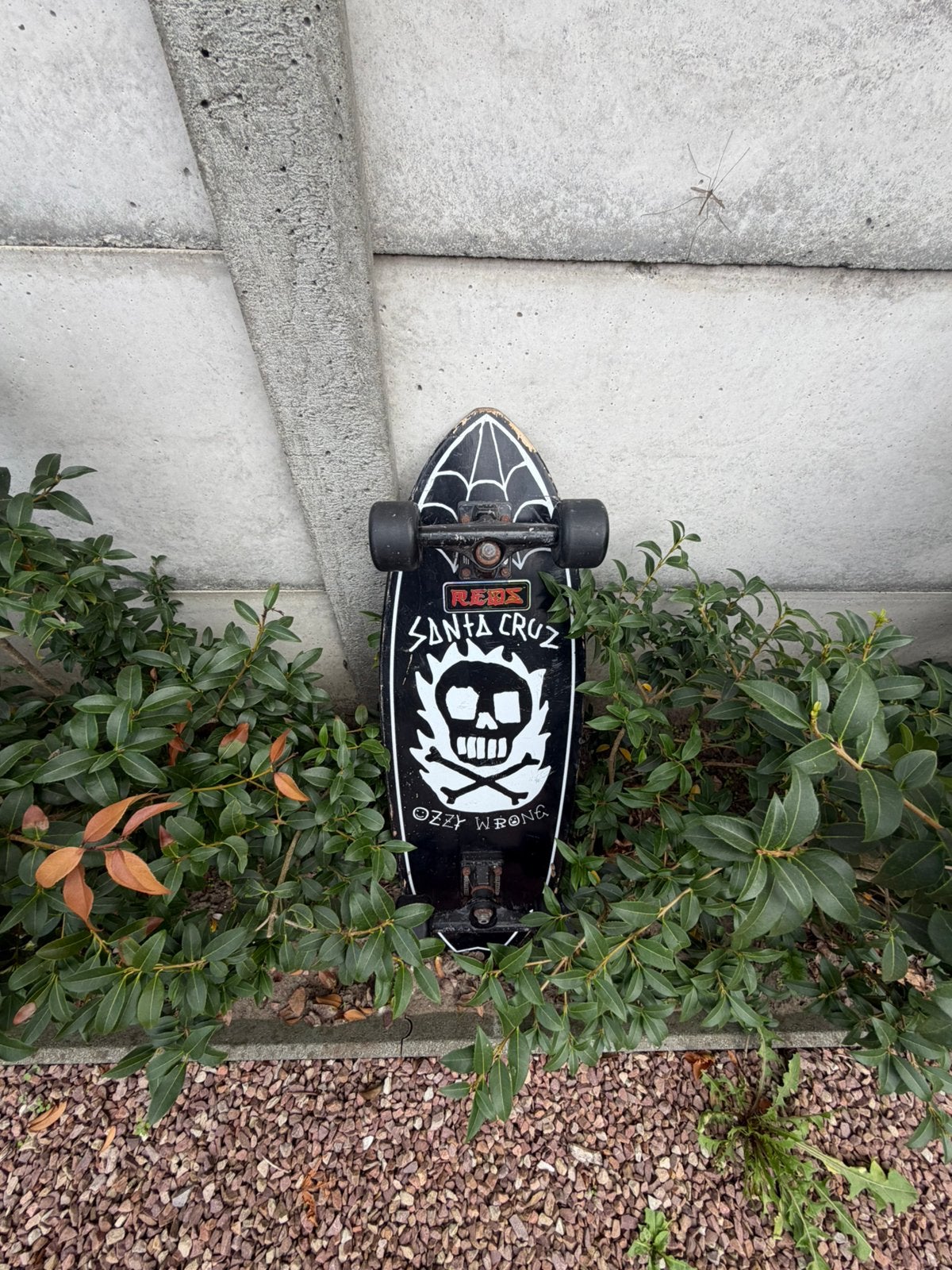 Santa cruz longboard, Sports & Fitness, Enlèvement, Utilisé, Skateboard, Longboard