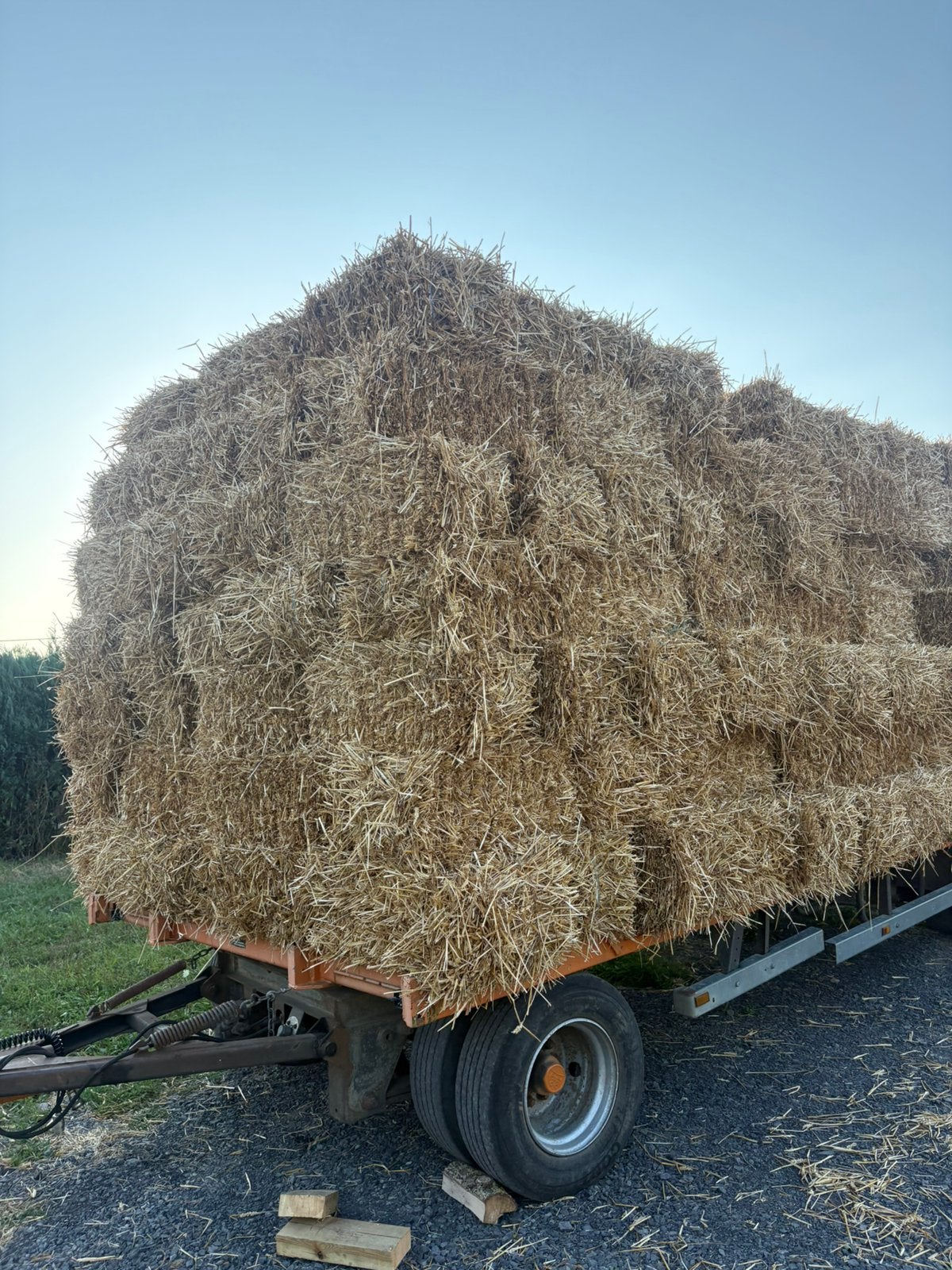 Kleine strobalen te koop, Ophalen of Verzenden