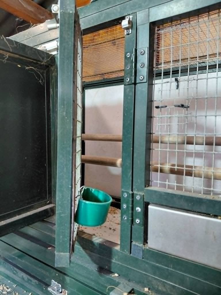 cages élevage perruches conures perroquets, Animaux & Accessoires, Enlèvement ou Envoi