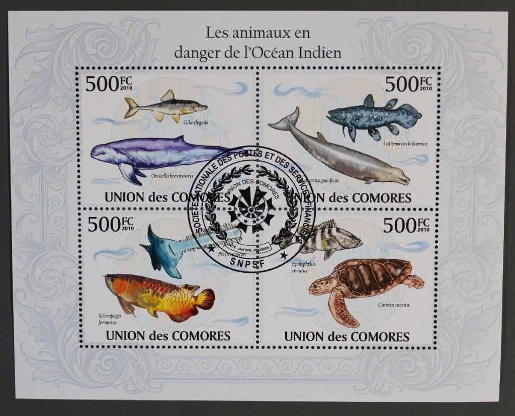 Timbres animaux poissons série 2 feuillets Comores, Envoi, Affranchi