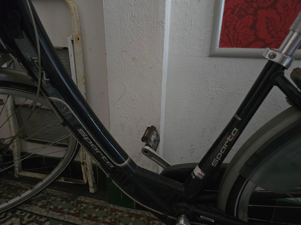 Sparta electrische fiets, Fietsen en Brommers, Elektrische fietsen, Ophalen, Gebruikt, Sparta