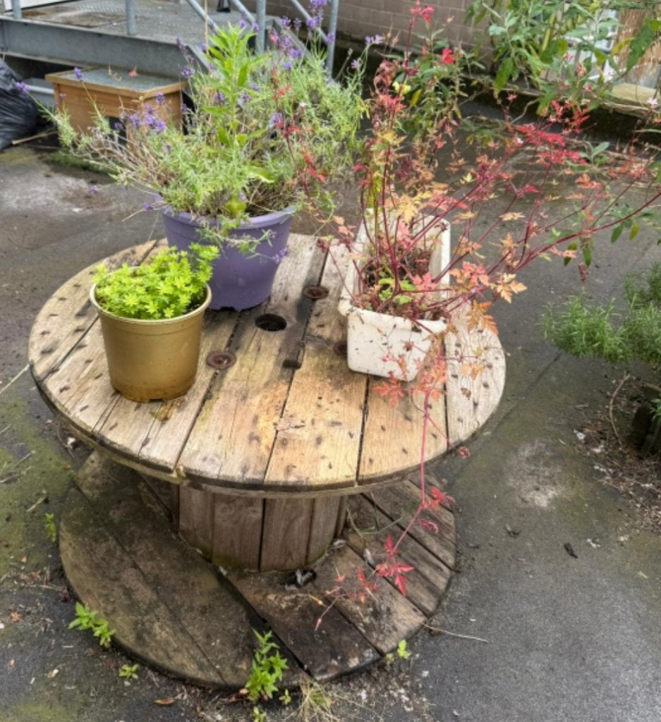 Gratis ophalen houten bobijntafel, Ophalen