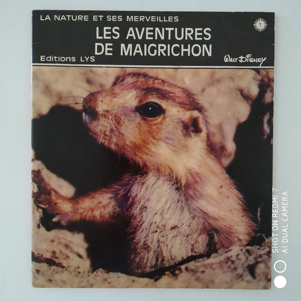 WALT DISNEY LES AVENTURES DE MAIGRICHON 1969, Boeken, Kinderboeken | Baby's en Peuters, Gelezen, Ophalen of Verzenden