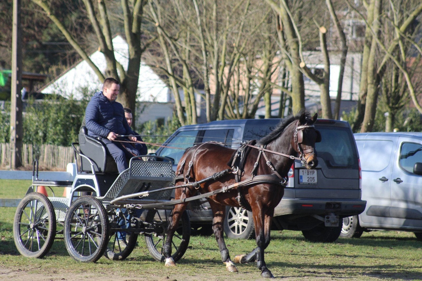 dressuur paard te koop, Animaux & Accessoires, Chevaux, Débourré