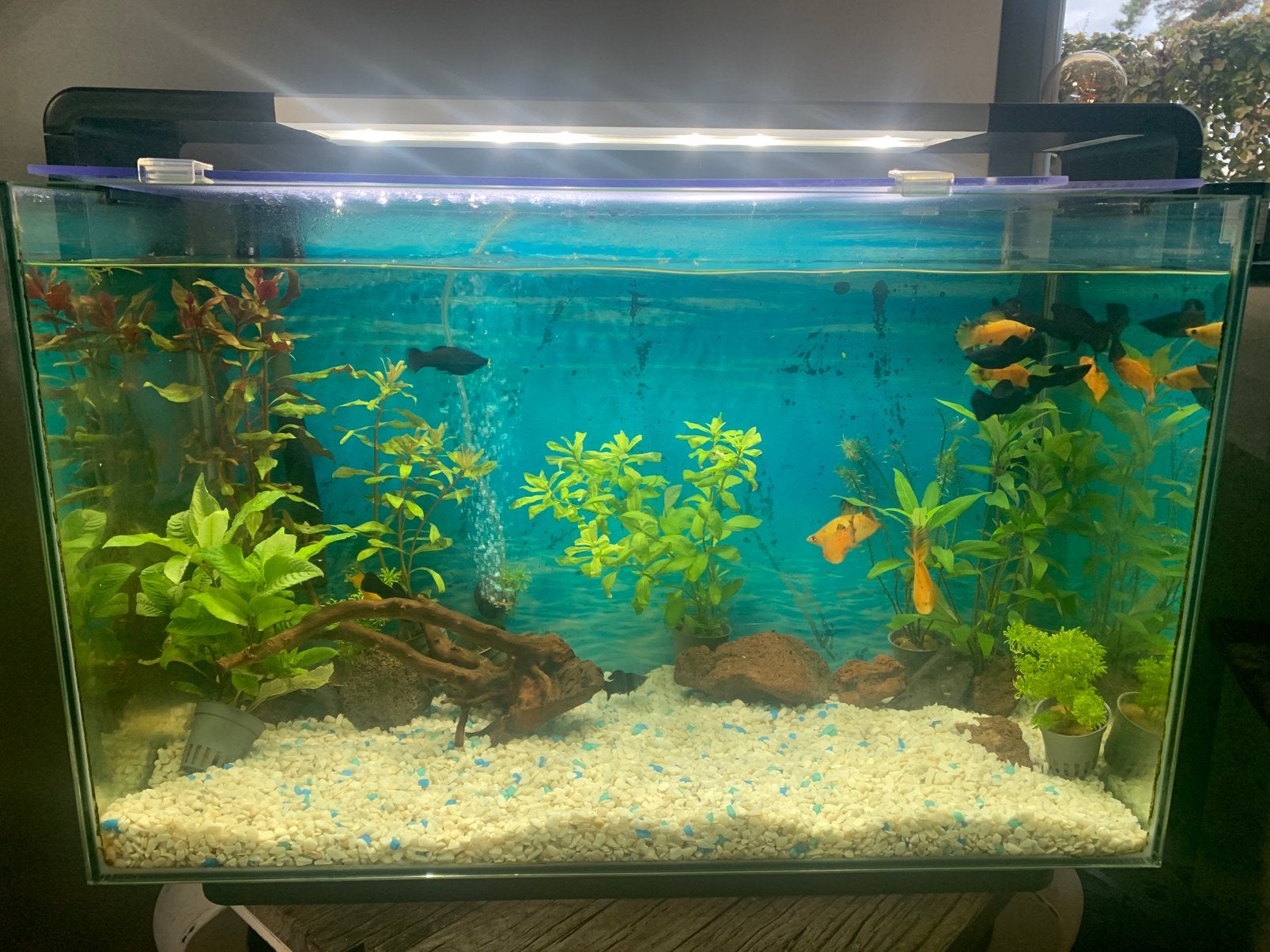 Aquarium superfish home 110, Animaux & Accessoires, Enlèvement, Pompe, Comme neuf, Oase