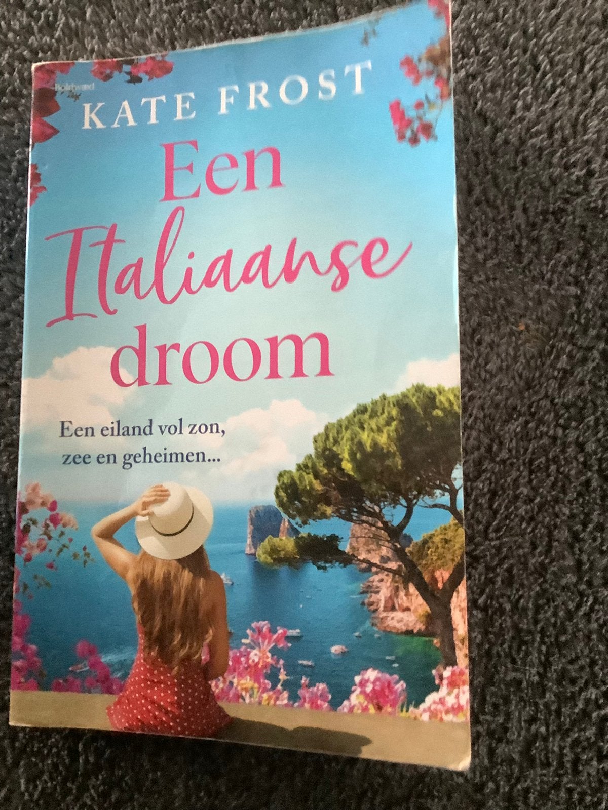 Roman - Een Italiaanse droom - Kate Frost, Boeken, Ophalen, Gelezen, Nederland