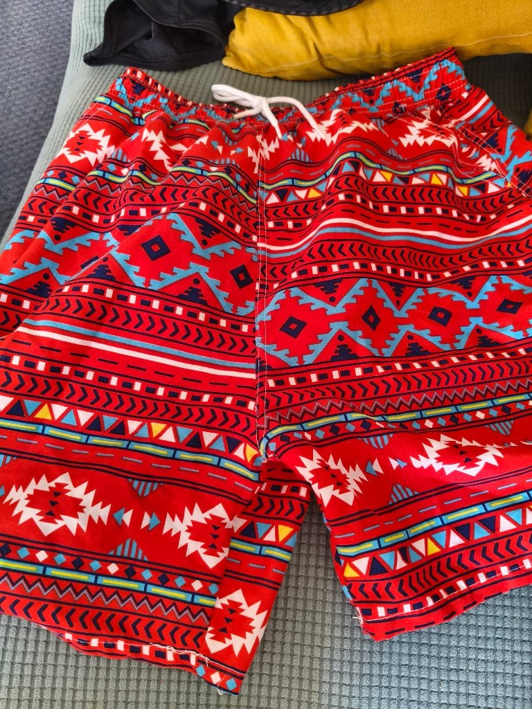 Large short heren, Ophalen, Zo goed als nieuw, Maat 52/54 (L), Meerkleurig