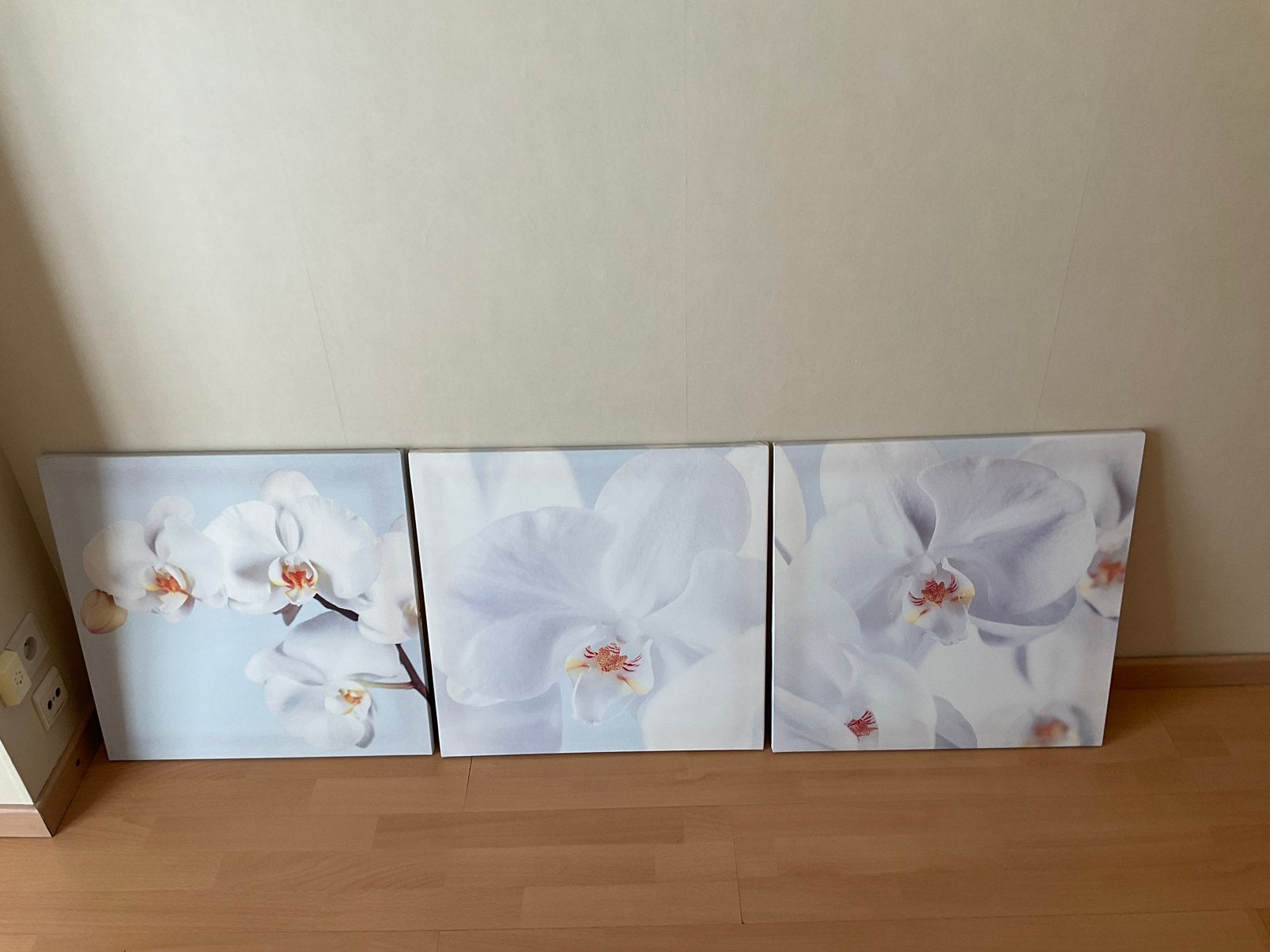 3 kaders orchideeën, Ophalen, Gebruikt