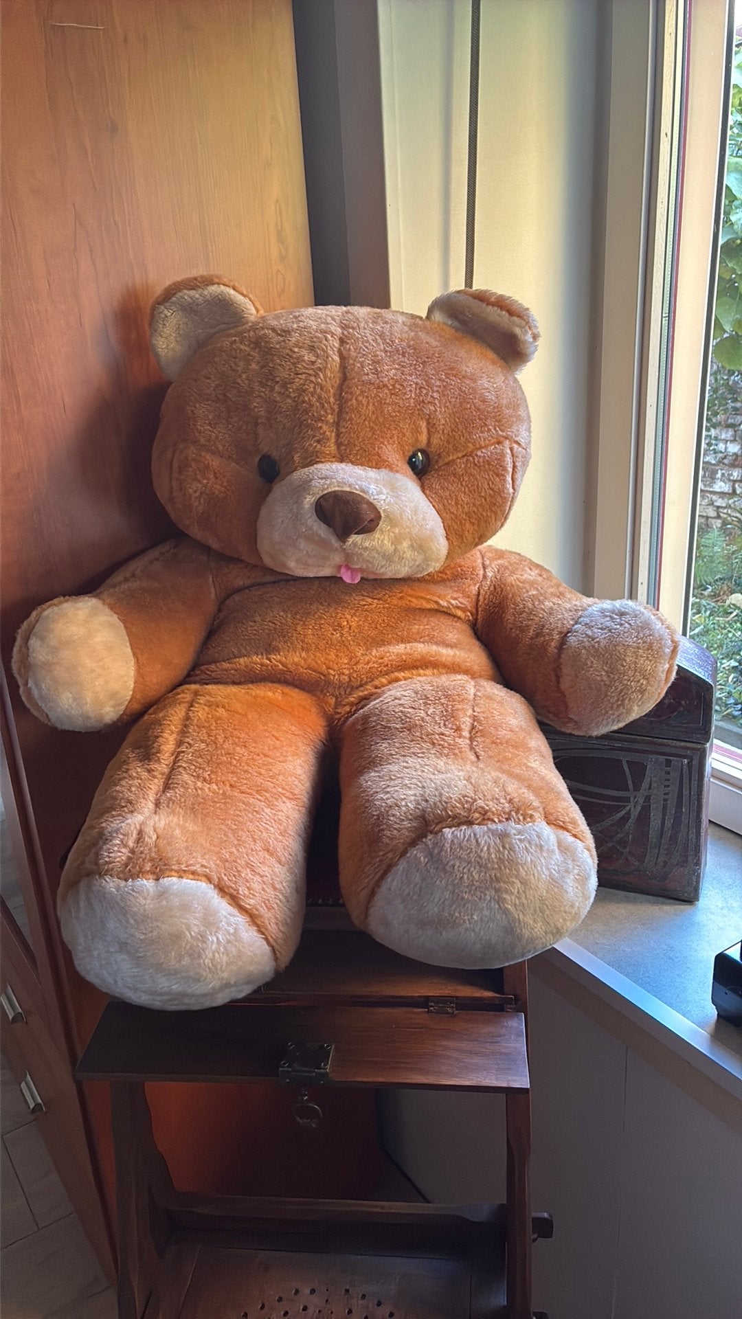 Grand ours en peluche marron, Collections, Enlèvement, Comme neuf