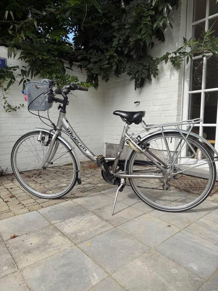 Vélo enfant MINERVA - 26 pouces, Frein sur jante, 24 pouces ou plus, Acier, Minerva
