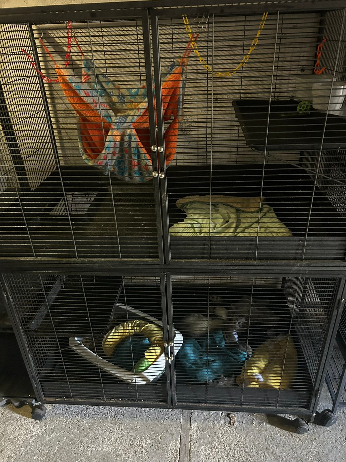 Cage pour furet à vendre, Animaux & Accessoires, Enlèvement, Comme neuf, Cage