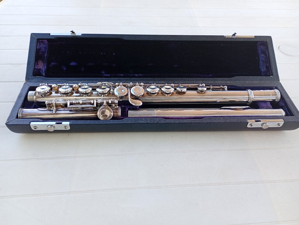 Fluit - Trevor J. James, Ophalen of Verzenden, Gebruikt, Dwarsfluit, Met koffer of tas
