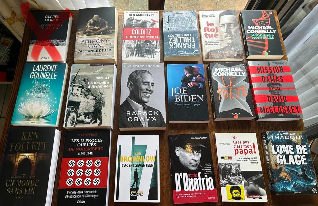 Romans / Thrillers - King, Chattam, Musso (+100 livres), Livres, Thrillers, Utilisé, Enlèvement ou Envoi
