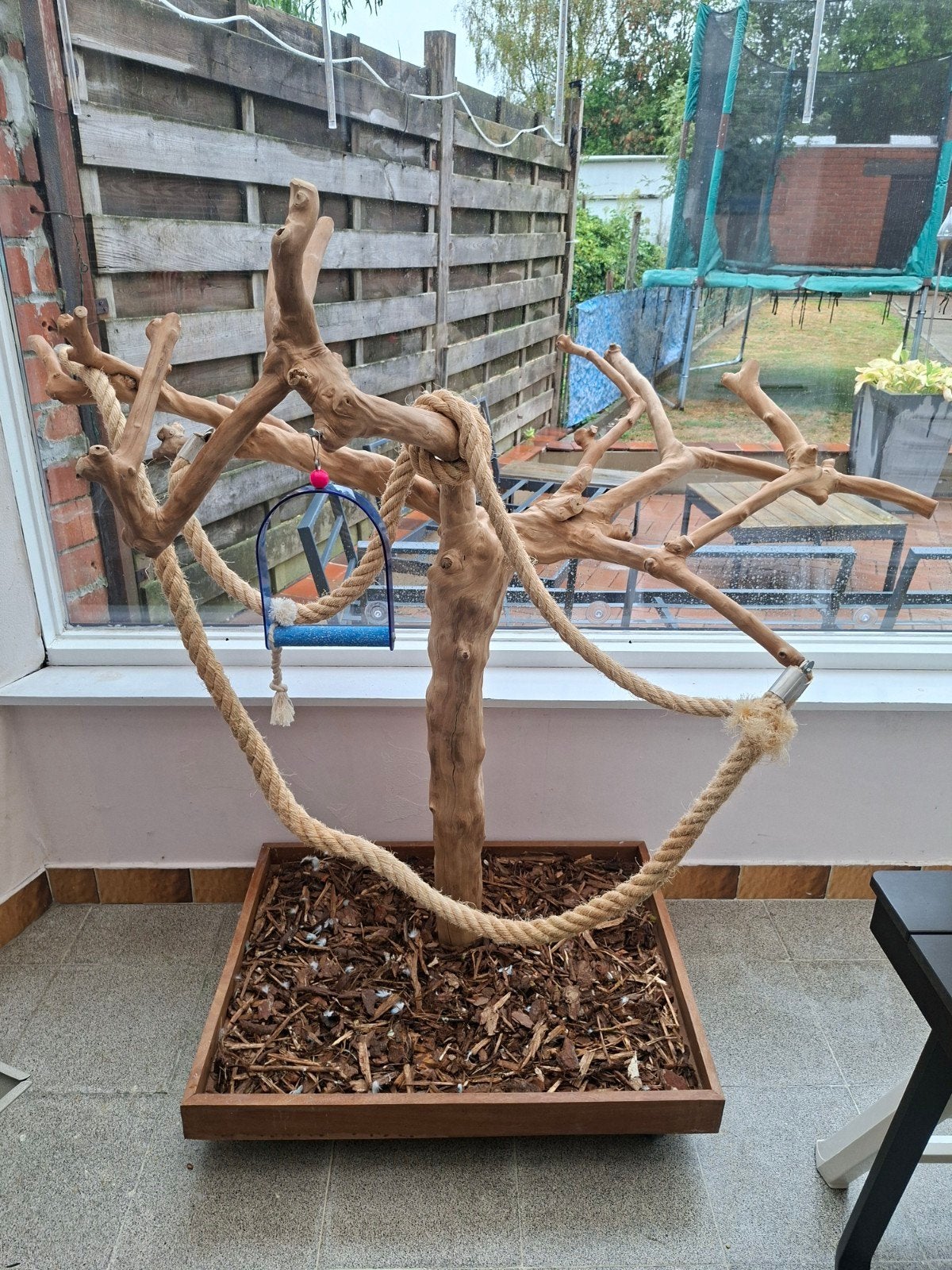 Arbre Java, Animaux & Accessoires, Oiseaux | Accessoires, Enlèvement, Neuf