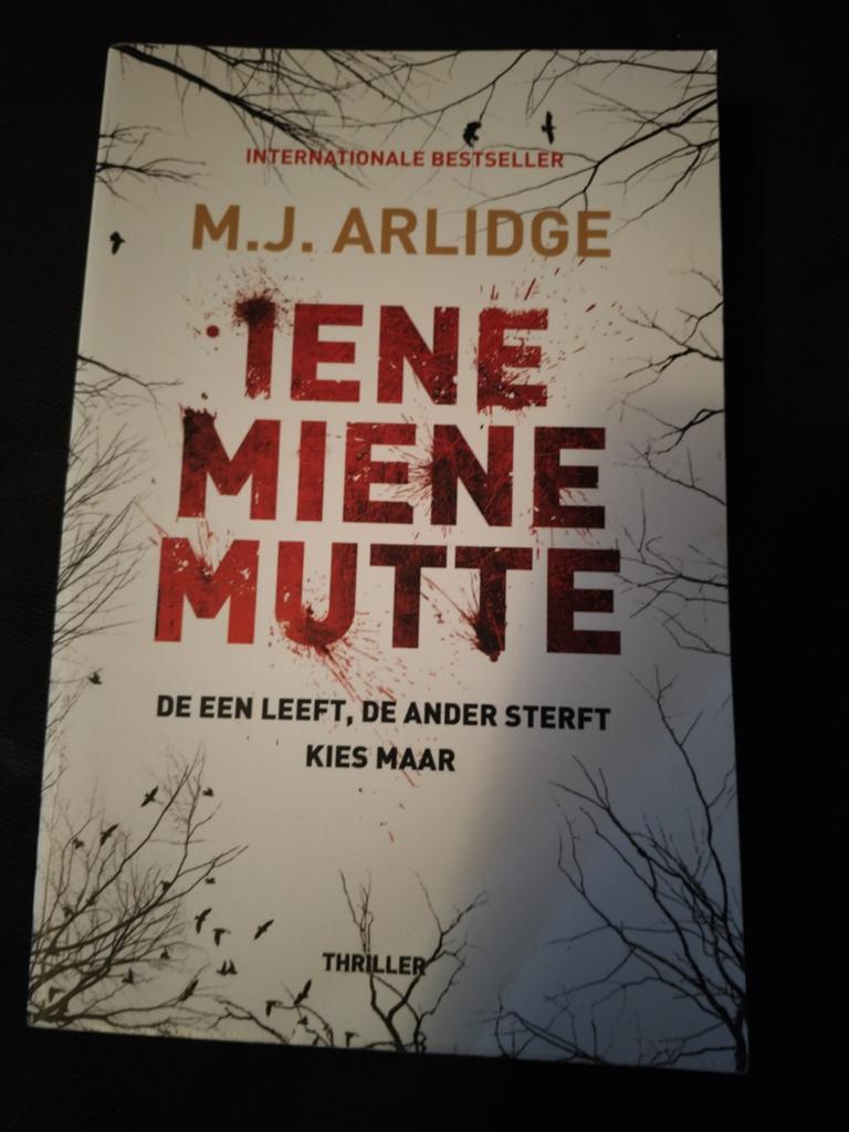 M.J. Arlidge - Iene Miene Mutte, Livres, Thrillers, Enlèvement ou Envoi