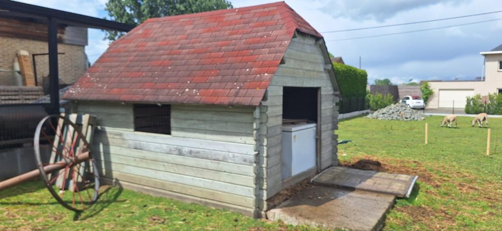 thuinhuis als schapen stal, Dieren en Toebehoren