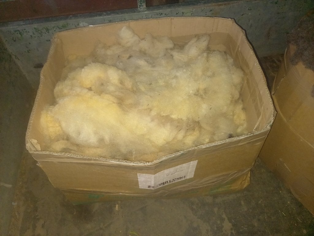 Schapenwol wol schaap, Mouton