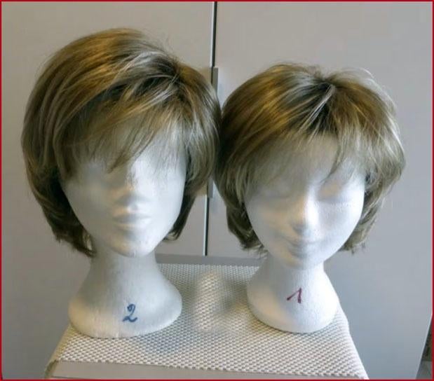 2 nouvelles perruques pour femmes (bonne affaire !), Enlèvement ou Envoi, Neuf, Perruque ou Extension de cheveux