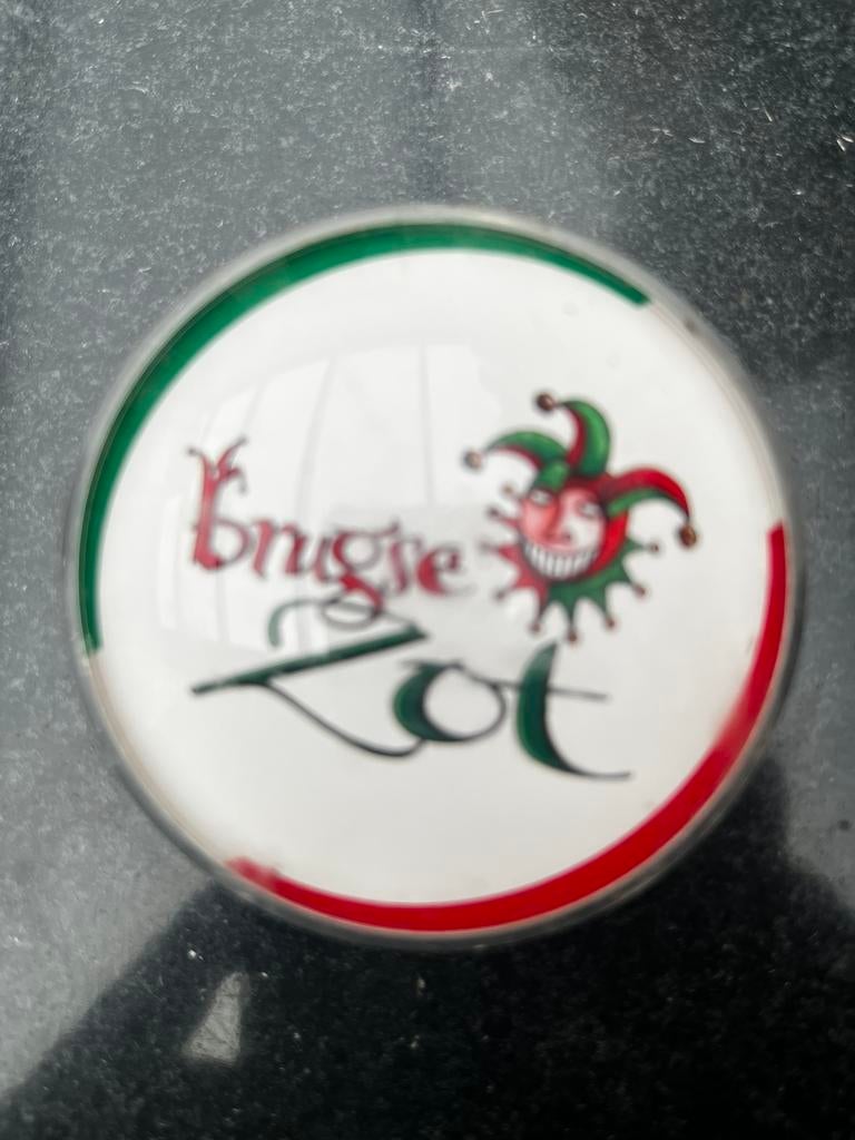 Lampje Brugse Zot, Verzamelen, Biermerken, Ophalen of Verzenden, Zo goed als nieuw