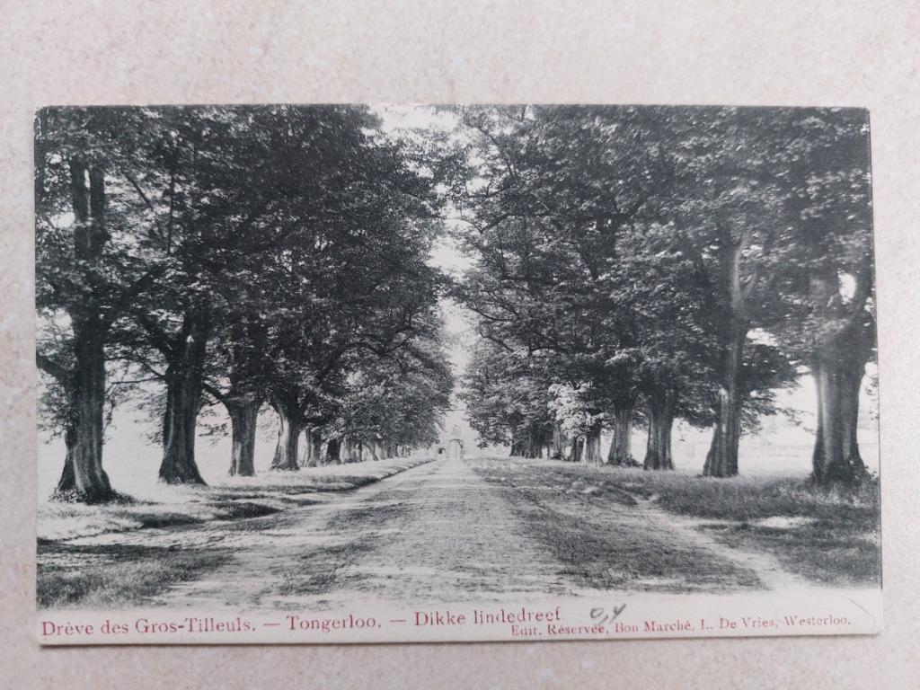 oude postkaart Tongerloo, Verzenden