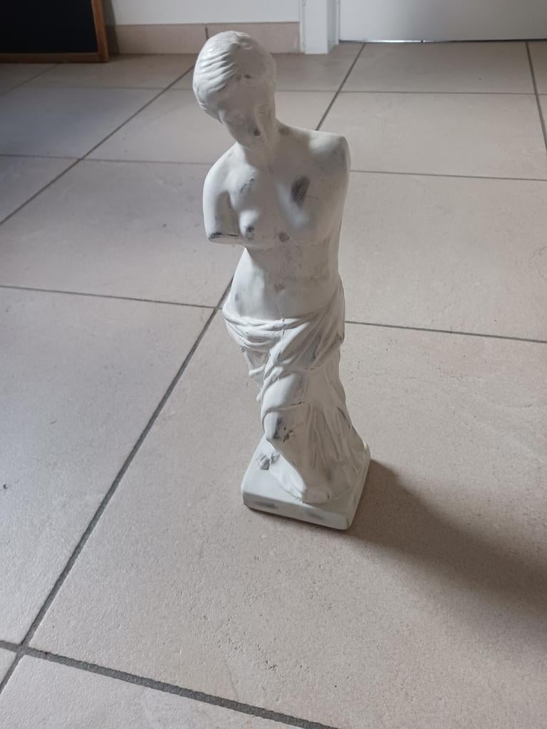 Beeld Venus van Milo, Ophalen