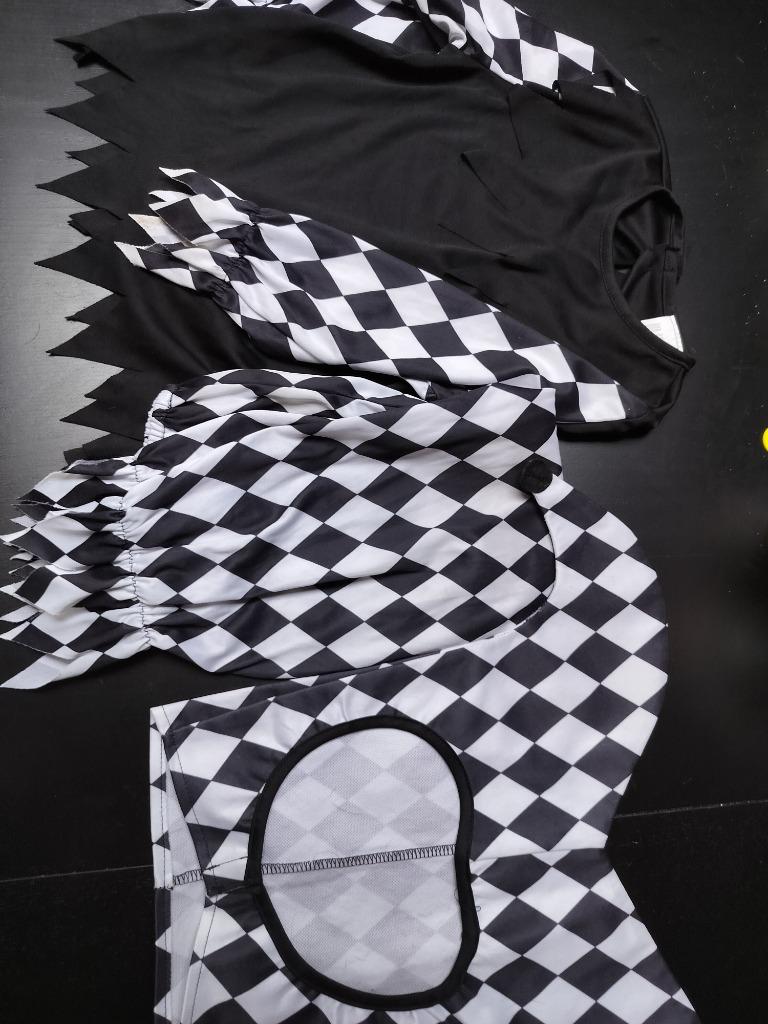 Clownspak maat 4-6 jaar, Kinderen en Baby's, Carnavalskleding en Verkleedspullen, Ophalen, Gebruikt, 104 of kleiner, Jongen of Meisje