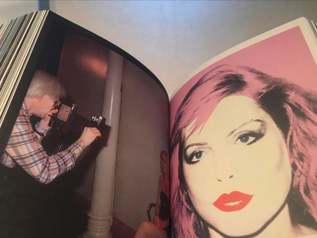 Andy Warhol Paintings pop art 400pag, Ophalen of Verzenden, Zo goed als nieuw, Schilder- en Tekenkunst