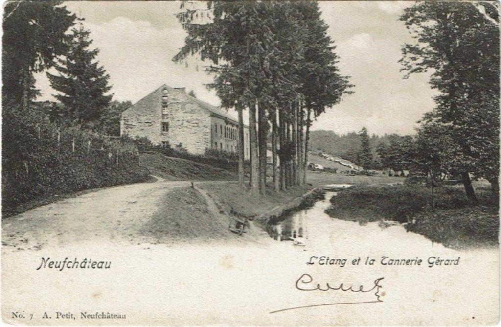 Carte postale Neufchâteau Etang et Tannerie Gérard 1903, Envoi, Avant 1920, Affranchie, Luxembourg