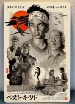 Vintage metalen bordje Karate Kid (30x20cm), Ophalen of Verzenden, Nieuw