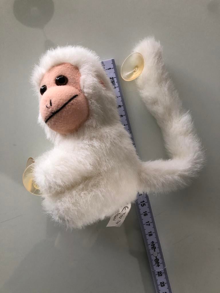 Aapje met zuignappen om vast te zuigen., Enlèvement ou Envoi