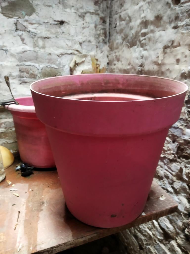 Grand Cache pot rose, Jardin & Terrasse, Pots de fleurs, Enlèvement ou Envoi, Utilisé