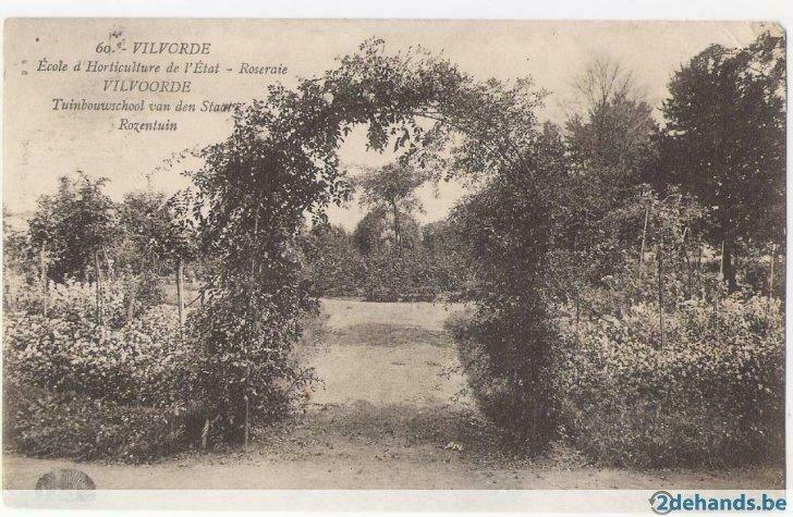 Vilvoorde Tuinbouwschool van den Staat Rozentuin, Verzamelen