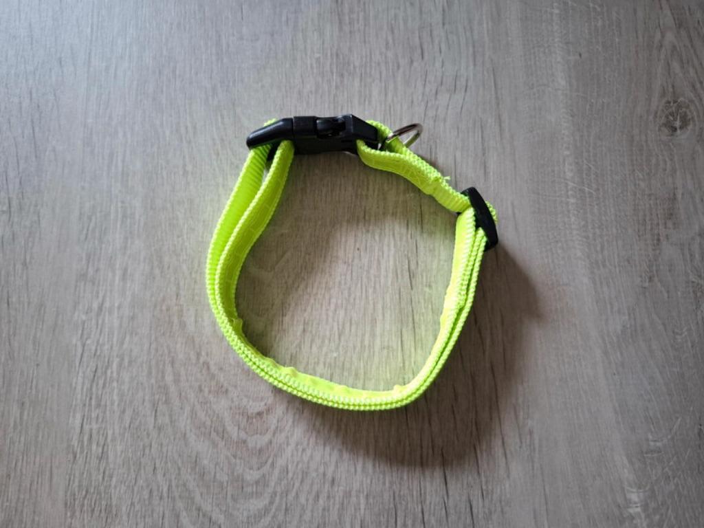 Collier pour chien, Enlèvement, Comme neuf