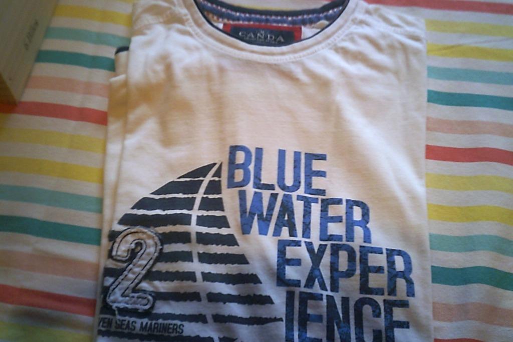 Mannen T-shirts van bij de c&a deel 1, Kleding | Heren, T-shirts, Gedragen, Maat 48/50 (M), Overige kleuren, Ophalen of Verzenden