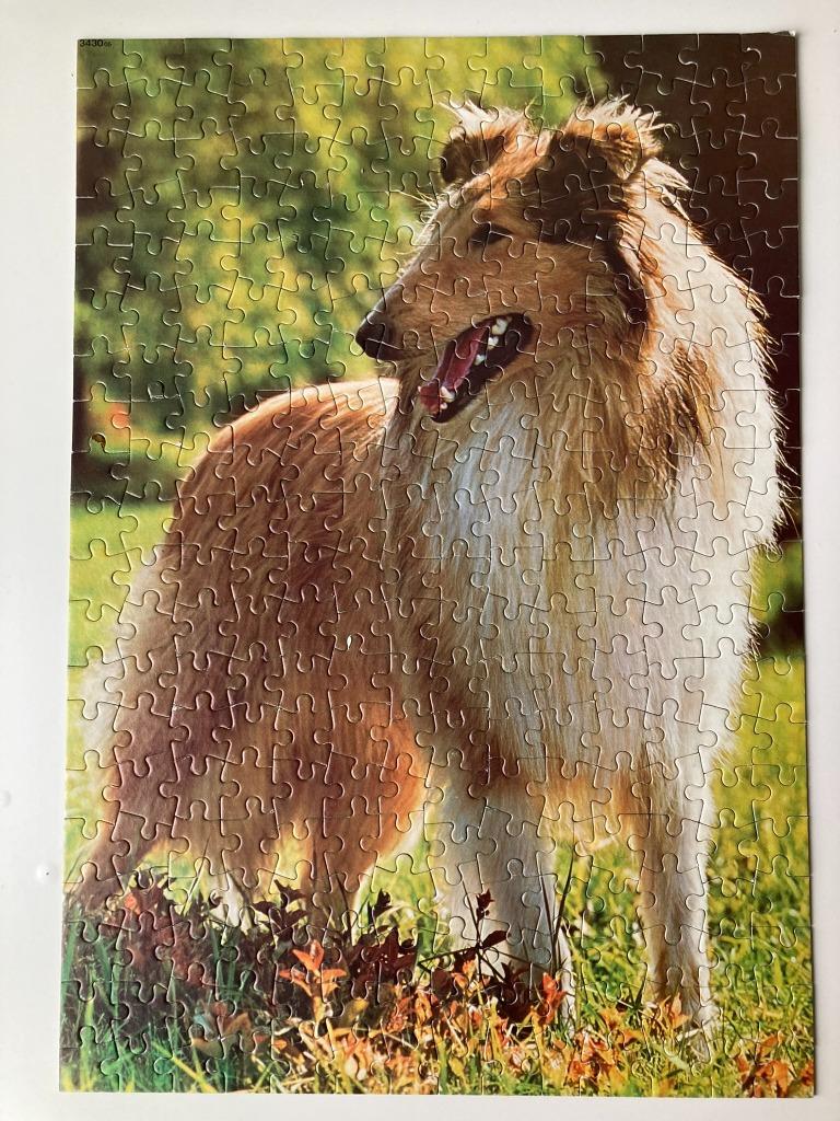 Puzzle MB 280 pièces chien - Scottish Collie, Enlèvement ou Envoi, Plus de 50 pièces, Utilisé, 6 ans ou plus