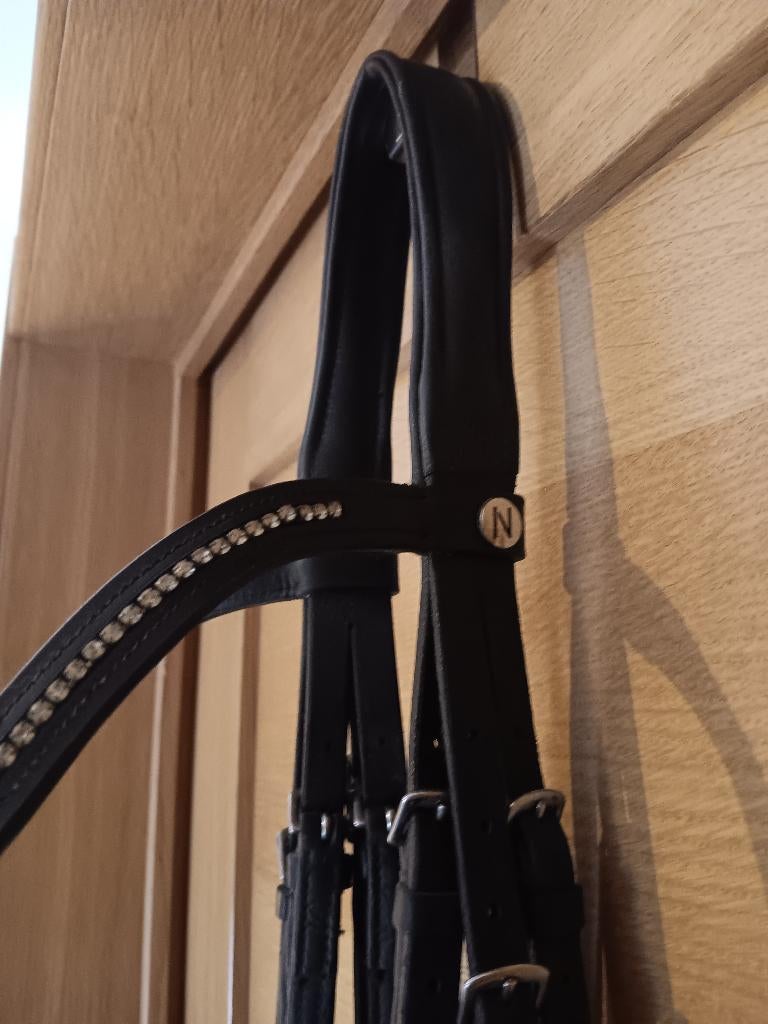 BRIDE Norton, Enlèvement, Utilisé, Dressage