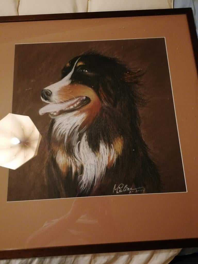 Handgeschilderde Berner Sennen, Enlèvement, Comme neuf