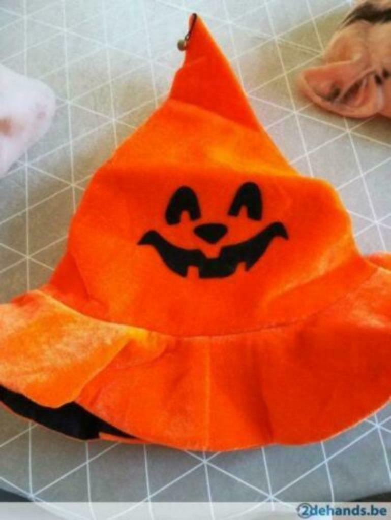 Halloween maskers + lichtjes + heks, Ophalen of Verzenden, Nieuw, Feestartikel