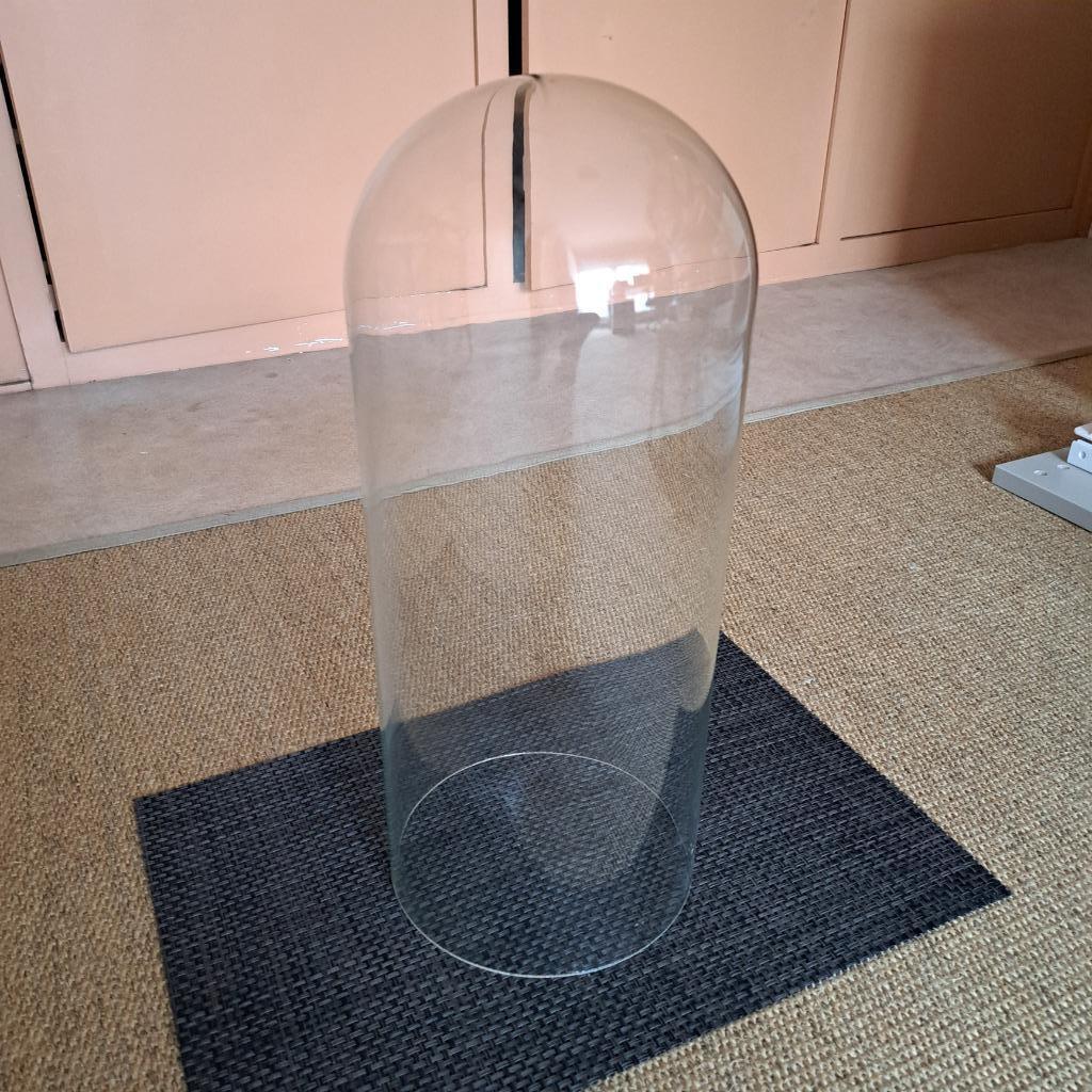 Globe ou cloche verre (II), Enlèvement