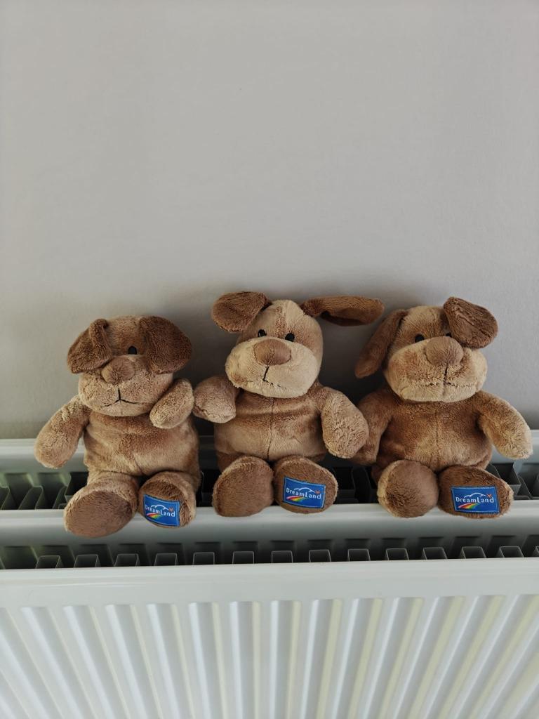 3 nieuwe beertjes (hondjes) Dreamland, Kinderen en Baby's, Speelgoed | Knuffels en Pluche, Ophalen of Verzenden