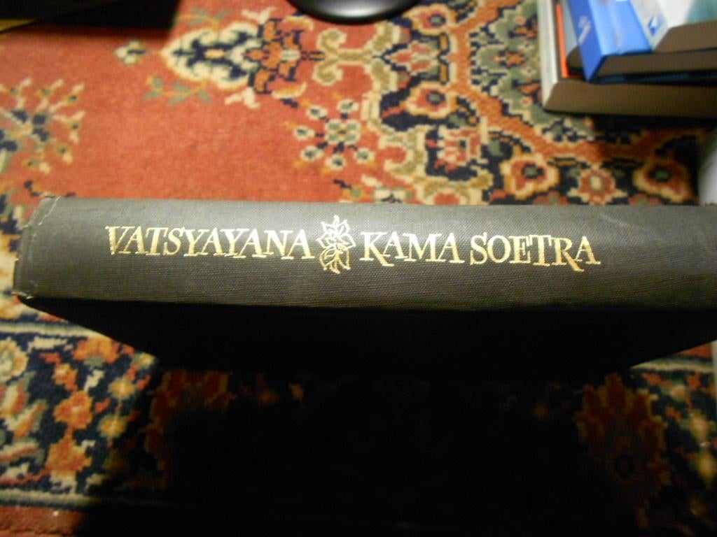 kamasoetra boek, Ophalen of Verzenden, Gelezen, Overige onderwerpen