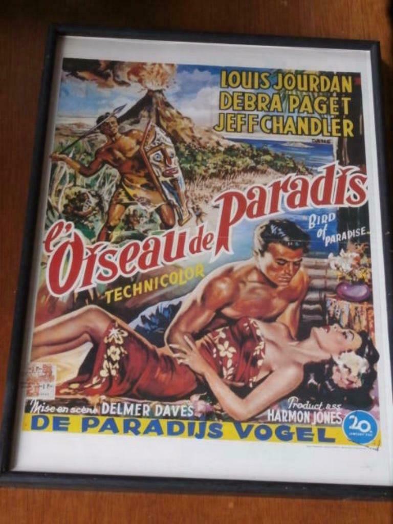 Filmaffiche: L'oiseau de Paradis, Verzamelen, Posters, Zo goed als nieuw, Film en Tv, A1 t/m A3, Rechthoekig Staand, Ophalen of Verzenden