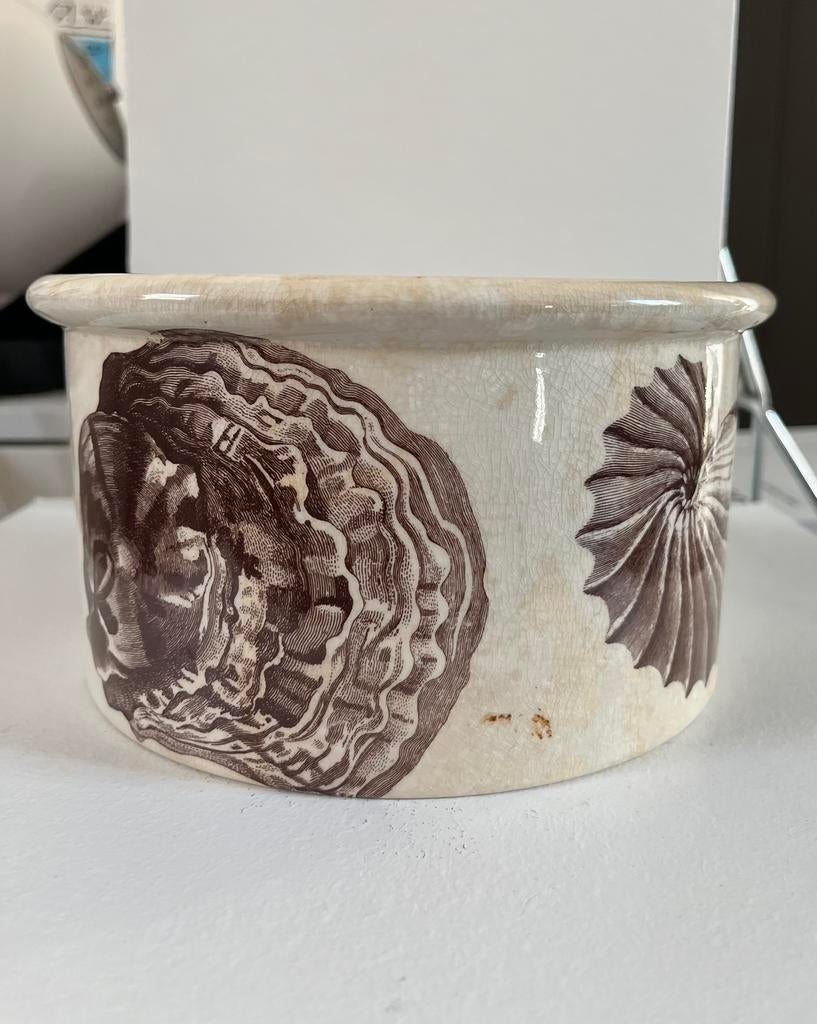 Portmeirion - kingdom of the sea casserole, Enlèvement