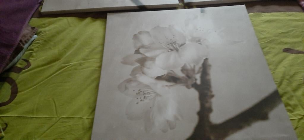 Canvas met orchidee, Ophalen, Foto