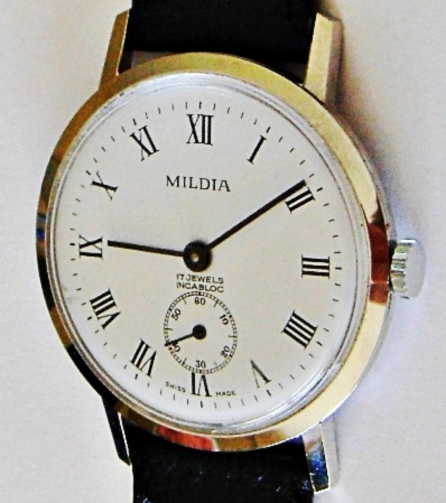 Montre MILDIA suisse mécanique NEUVE inox 17 jewels Incabloc, Enlèvement ou Envoi, Neuf