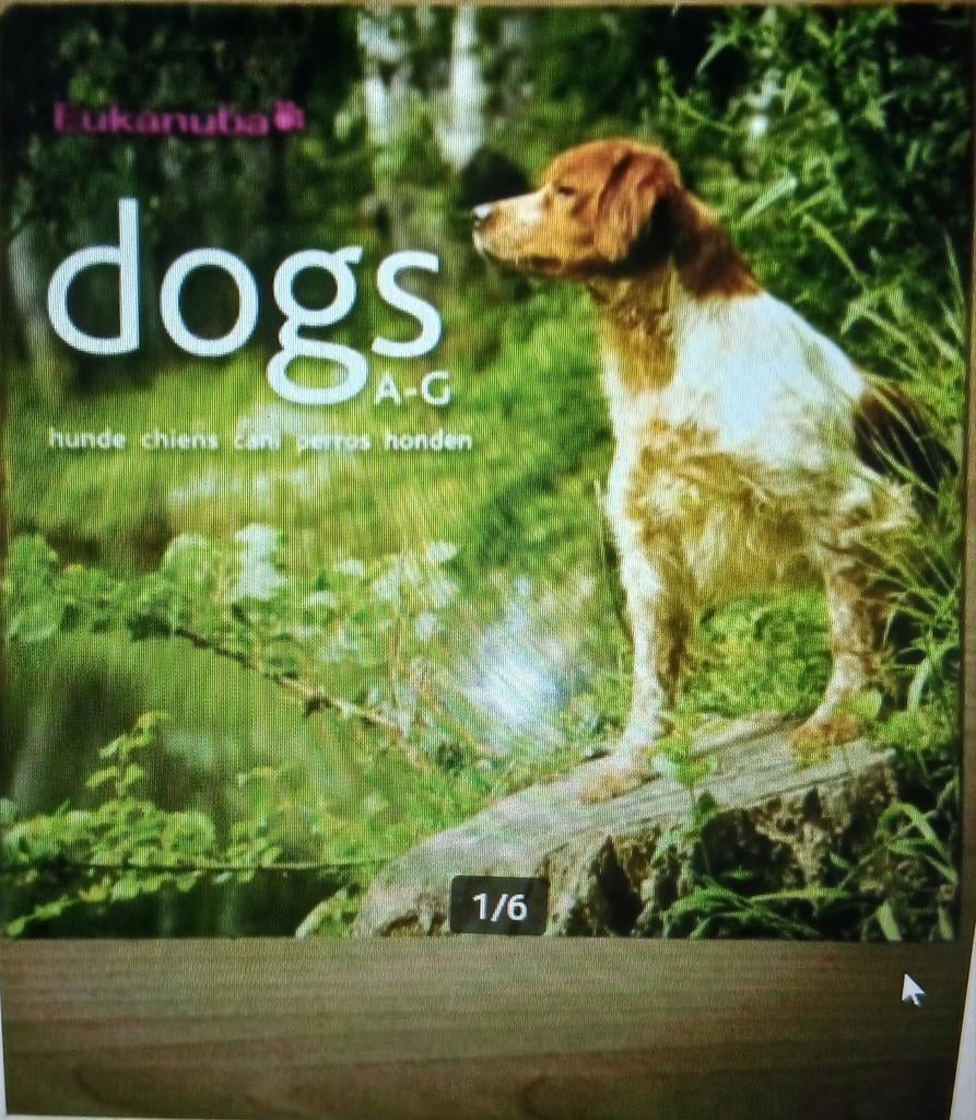 Hondenboeken, Boeken, Ophalen, Zo goed als nieuw, Honden