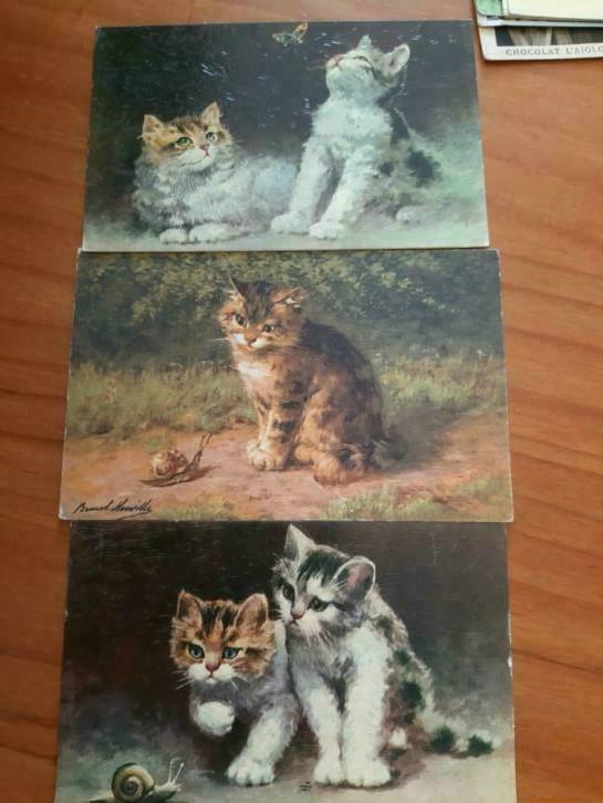 Prachtig lot 29 stuks oude postkaarten met poezen, Ophalen of Verzenden