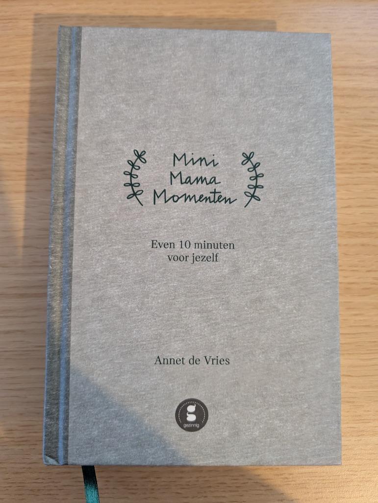 Boek "Mini Mama Momenten", Ophalen, Zo goed als nieuw, Annet de Vries